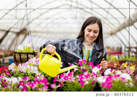 Smiling young female agronomist pouring fresh water on flowerbed with multicolored blooming flowers 80376313