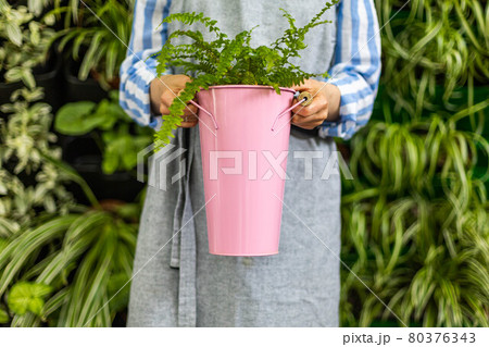 Portrait of woman gardener in apron holding fern nephrolepis in pink bucket working in greenhouse 80376343