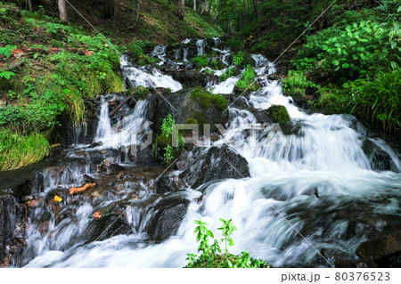 強清水の滝 強清水の滝 80376523