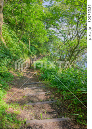 栂海新道起点へ下りる道【夏の親不知】 栂海新道起点へ下りる道【夏の親不知】 80376586