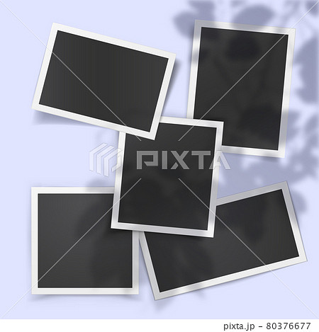 Realistic vector set of vintage photo templates with shadow overlay from the window and plants 80376677