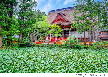 出羽三山神社と鏡池 出羽三山神社と鏡池 80376751