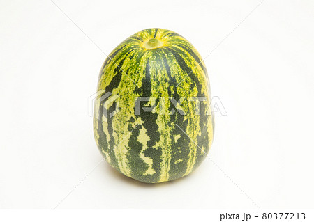 タイガーメロン　スタジオ撮影 80377213