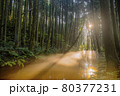 射光と朝霧に覆われた川　遊佐　山形 80377231