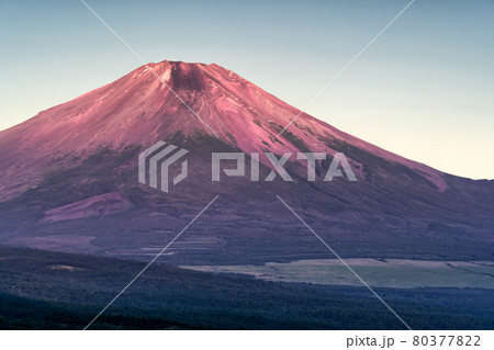 朝日に照らされる富士山の山頂 朝日に照らされる富士山の山頂 80377822