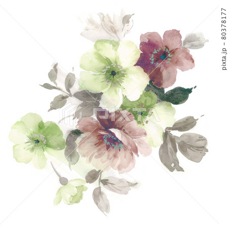 透明水彩 水彩画 花のイラスト素材