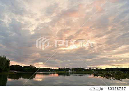 勅使池の朝景 勅使池の朝景 80378757