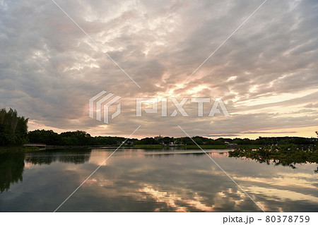 勅使池の朝景 勅使池の朝景 80378759