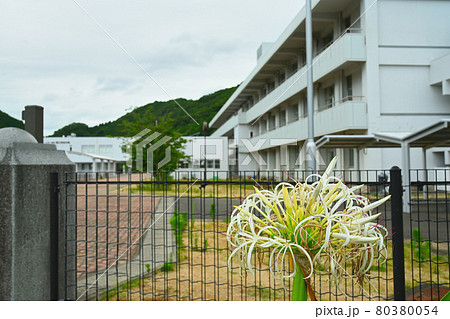 校舎 校舎 80380054