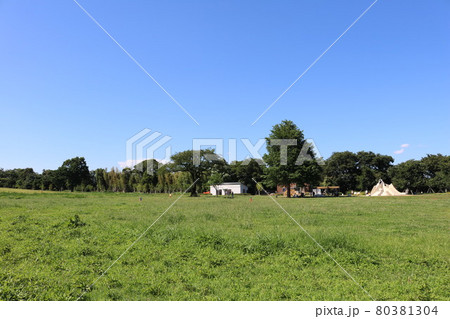 東京都杉並区久我山にある高井戸公園内の広場 80381304