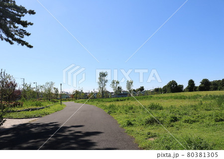 東京都杉並区久我山にある高井戸公園内の遊歩道 80381305