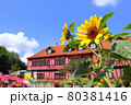 ふなばしアンデルセン公園。ひまわり鉢植えとコミュニティーセンター（7月）千葉県船橋市 80381416