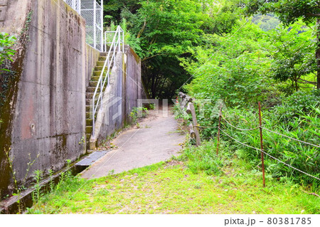 高嶺城【続日本100名城】 高嶺城【続日本100名城】 80381785