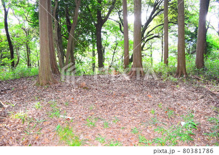 高嶺城【続日本100名城】 80381786