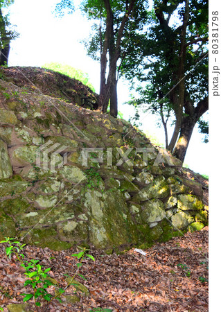 高嶺城【続日本100名城】 高嶺城【続日本100名城】 80381798