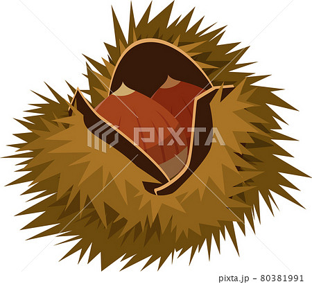 栗のイラスト素材セット 木の実 いがぐり ベクターのイラスト素材