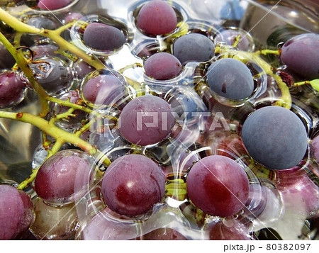 ぶどう　ブルーム 80382097