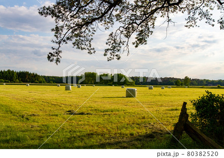 ドイツ 田舎町ののどかな牧草風景の写真素材 8035