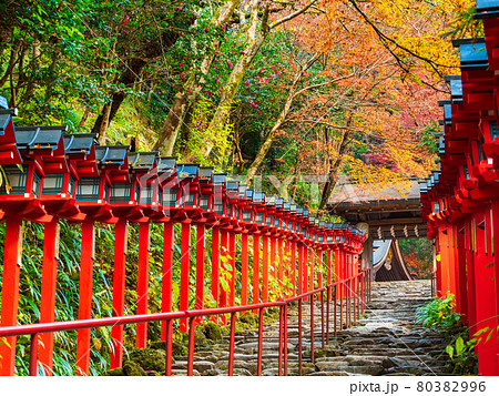 秋の京都 貴船神社 参道 秋の京都 貴船神社 参道 80382996