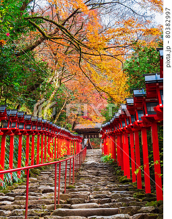 秋の京都　貴船神社　参道 80382997
