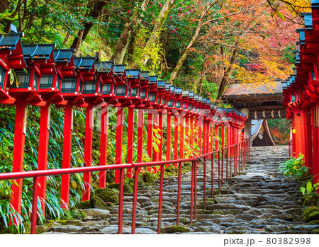 秋の京都　貴船神社　参道 80382998