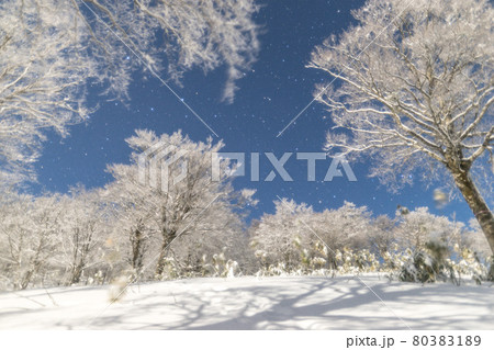 兵庫県最高峰、氷ノ山から雪上の星空（兵庫県養父市大屋町横行）※作品コメント欄に撮影位置 80383189