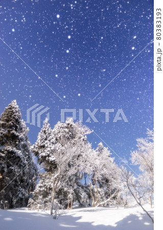 兵庫県最高峰、氷ノ山から雪上の星空（兵庫県養父市大屋町横行）※作品コメント欄に撮影位置 80383193
