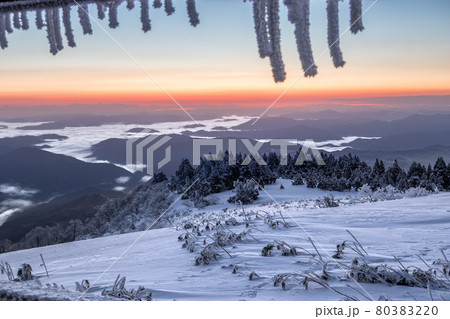 兵庫県最高峰、氷ノ山　山頂の夜明け（兵庫県養父市大屋町横行）※作品コメント欄に撮影位置 80383220