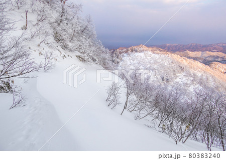 兵庫県最高峰、氷ノ山　山頂の夜明け（兵庫県養父市大屋町横行）※作品コメント欄に撮影位置 80383240