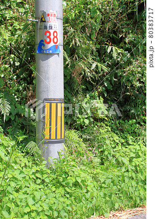 山道の道路脇の電柱に設置された海抜表示の看板 山道の道路脇の電柱に設置された海抜表示の看板 80383717
