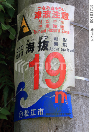 山道の道路脇の電柱に設置された海抜表示の看板 山道の道路脇の電柱に設置された海抜表示の看板 80383719