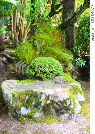 大内氏館跡【続日本100名城】 大内氏館跡【続日本100名城】 80384077