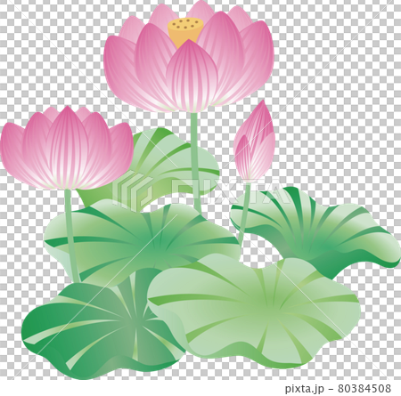 東風終（岩峰啓一）作品『蓮の花／Lotus flower』