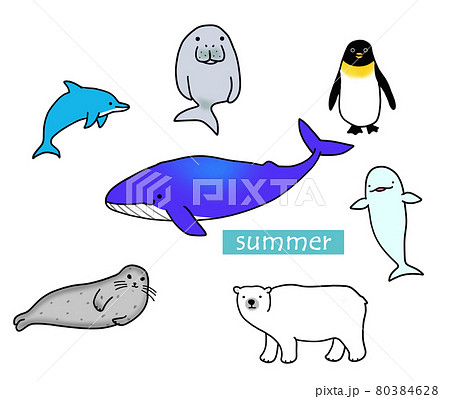 夏向け海の生き物のイラストのイラスト素材