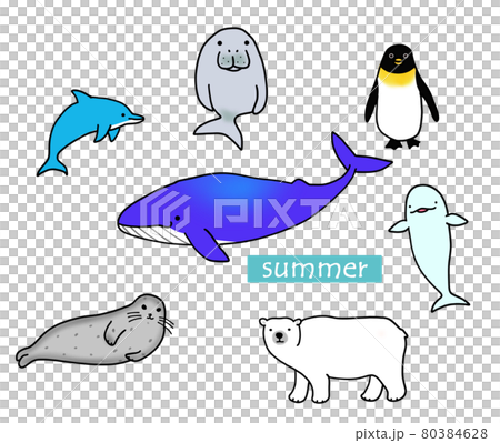 夏向け海の生き物のイラストのイラスト素材 夏向け海の生き物のイラストのイラスト素材