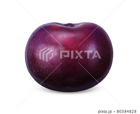 Plum isolated on white background 80384828