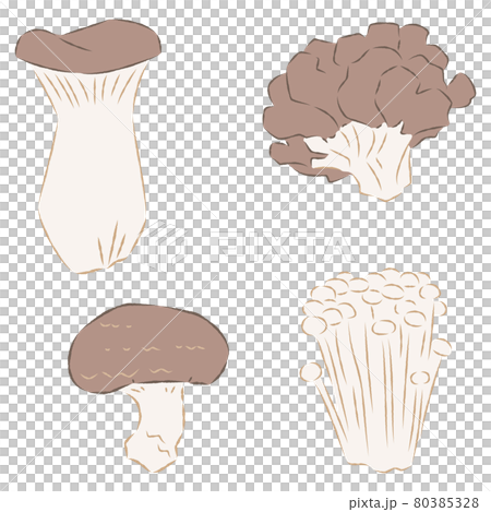 蘑菇插圖 80385328