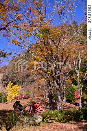 紅葉の丹沢湖 80385605