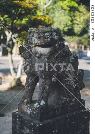 光の道で有名な福岡県福津市の宮地嶽神社(みやじだけじんじゃ)の狛犬 光の道で有名な福岡県福津市の宮地嶽神社(みやじだけじんじゃ)の狛犬 80385808