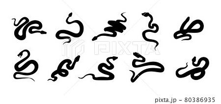 Black snakes. Silhouettes of reptiles with long tails. Wild serpents set. Simple shapes on white. Dangerous vertebrate animals signs. Tattoo template. Vector cold-blooded predators 80386935