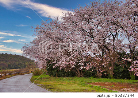 滋賀県宇曽川 田舎の美しい春景色の写真素材