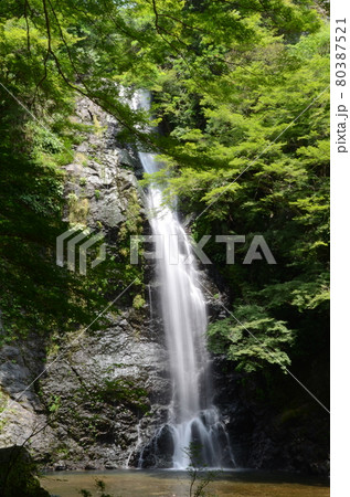 箕面滝 箕面滝 80387521