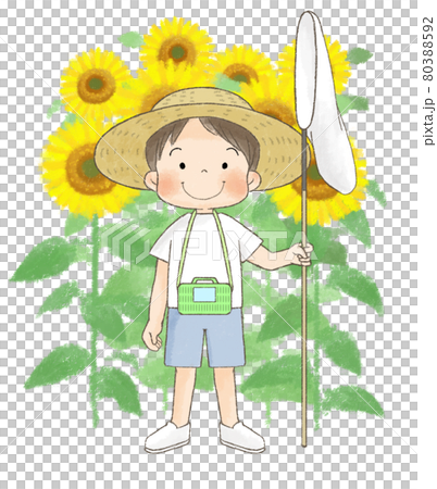 Boy with sunflower and straw hat 80388592