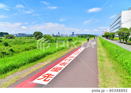 多摩川サイクリングロード/関戸橋方面を望む(東京都府中市)【2021.7】 多摩川サイクリングロード/関戸橋方面を望む(東京都府中市)【2021.7】 80388892