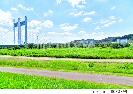 是政橋/多摩川 上流/府中市側より望む(東京都府中市)【2021.7】 是政橋/多摩川 上流/府中市側より望む(東京都府中市)【2021.7】 80388999