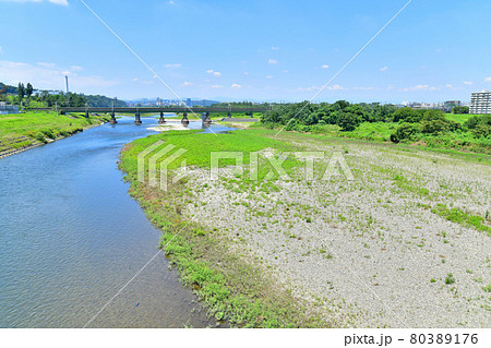 是政橋/多摩川より上流方面を望む(東京都府中市)【2021.7】 是政橋/多摩川より上流方面を望む(東京都府中市)【2021.7】 80389176