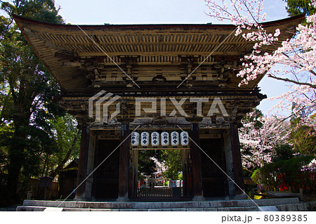 三井寺の春2021 80389385