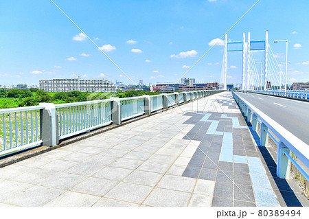 是政橋/多摩川 府中市方面を望む(東京都府中市)【2021.7】 是政橋/多摩川 府中市方面を望む(東京都府中市)【2021.7】 80389494