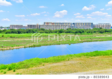 是政橋/多摩川の少し下流 府中市方面を望む(東京都府中市)【2021.7】 是政橋/多摩川の少し下流 府中市方面を望む(東京都府中市)【2021.7】 80389643