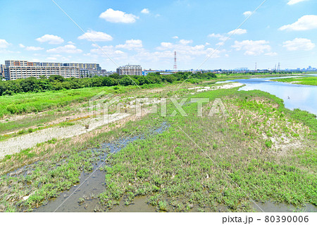 是政橋/多摩川より 下流/府中市方面を望む(東京都府中市)【2021.7】 是政橋/多摩川より 下流/府中市方面を望む(東京都府中市)【2021.7】 80390006